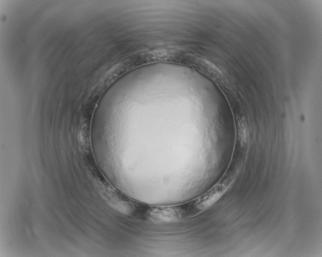 X0000078830181200611271306