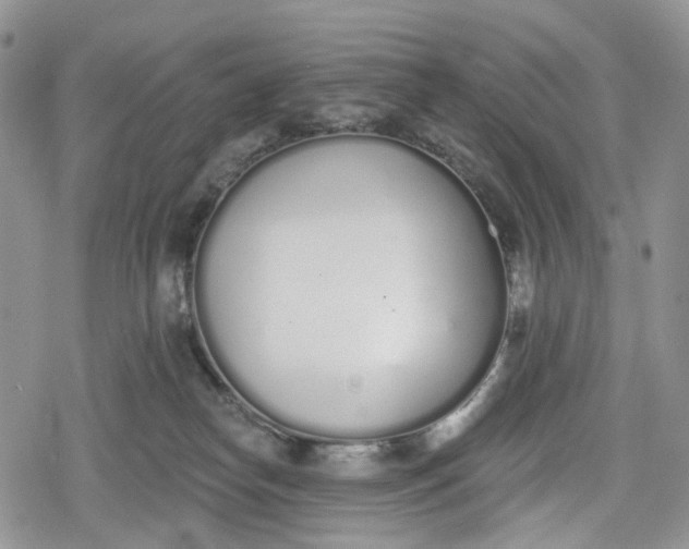 X0000078830182200611271306