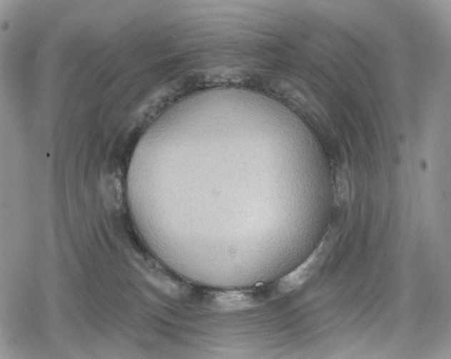 X0000078830183200611271306