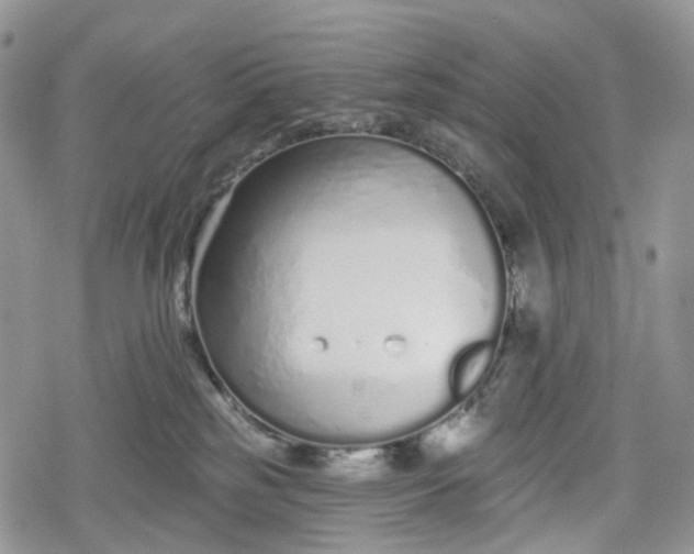 X0000078830185200611271306