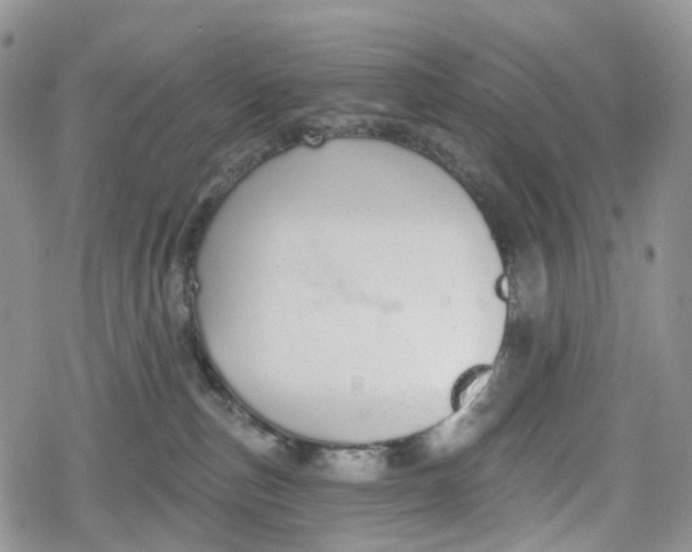 X0000078830187200611271306