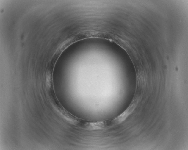 X0000078830188200611271306