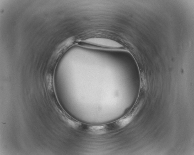 X0000078830189200611271306