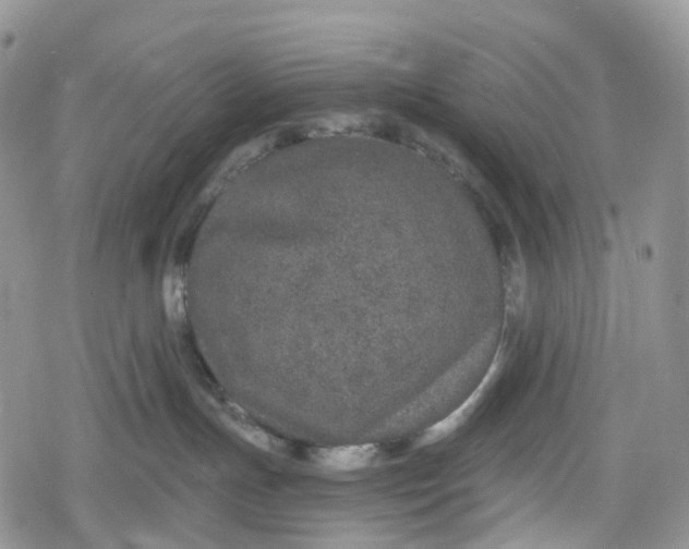 X0000078830191200611271306