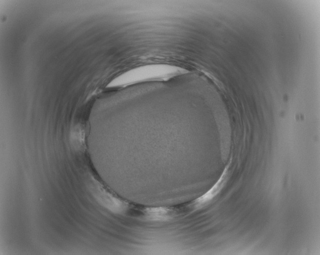 X0000078830192200611271306