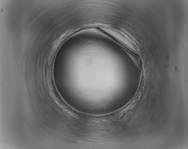 X0000078830193200611271305