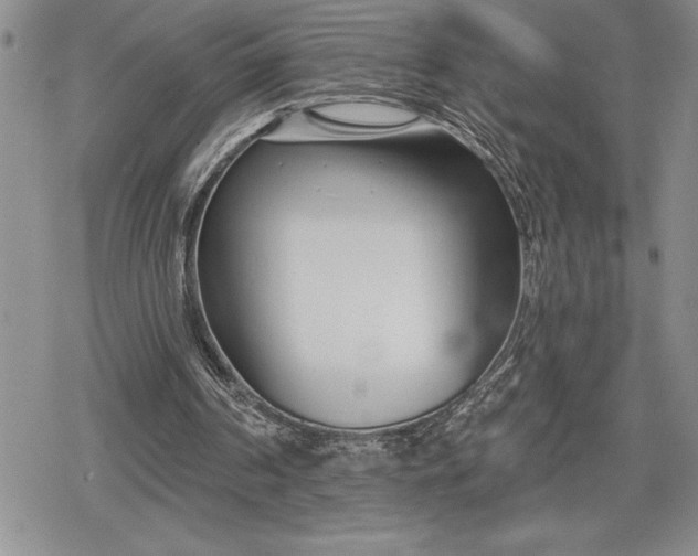 X0000078830194200611271305