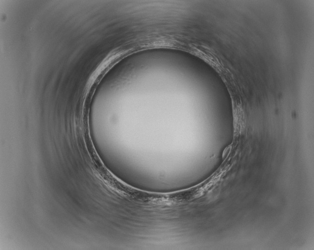 X0000078830195200611271305