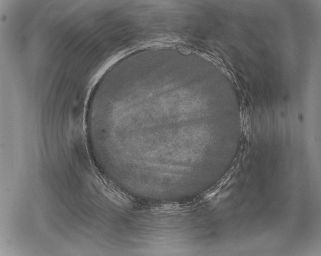 X0000078830196200611271305