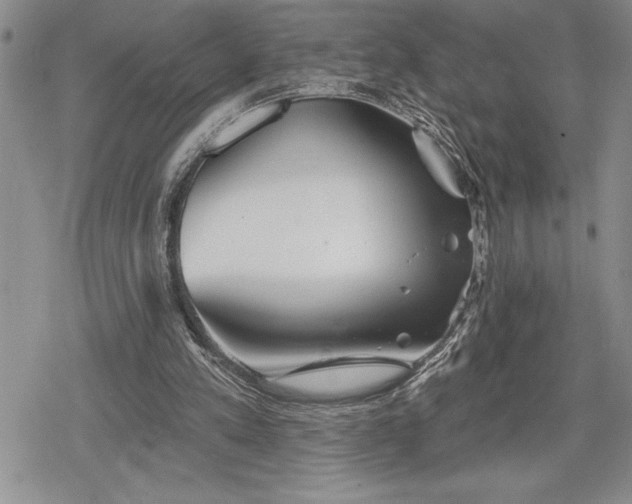 X0000078830197200611271305