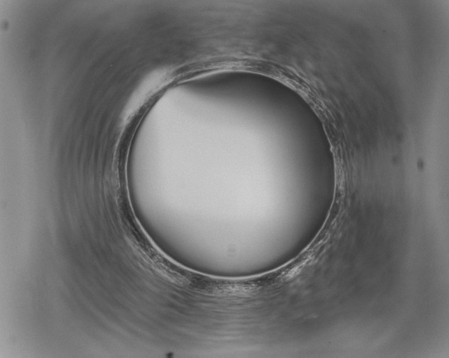 X0000078830198200611271305