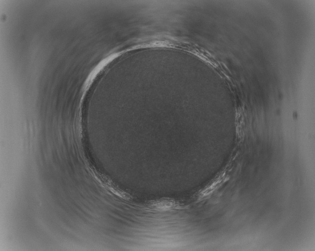 X0000078830200200611271305