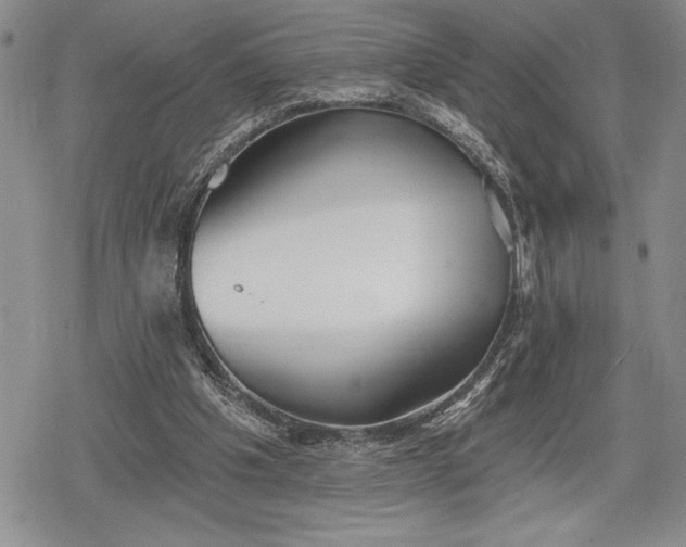 X0000078830201200611271305