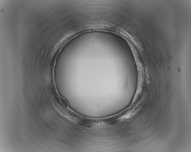 X0000078830203200611271305