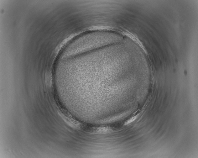 X0000078830204200611271305