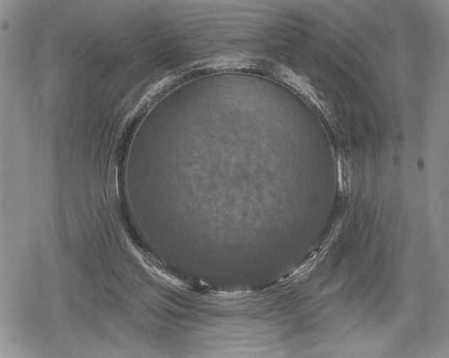 X0000078830205200611271305