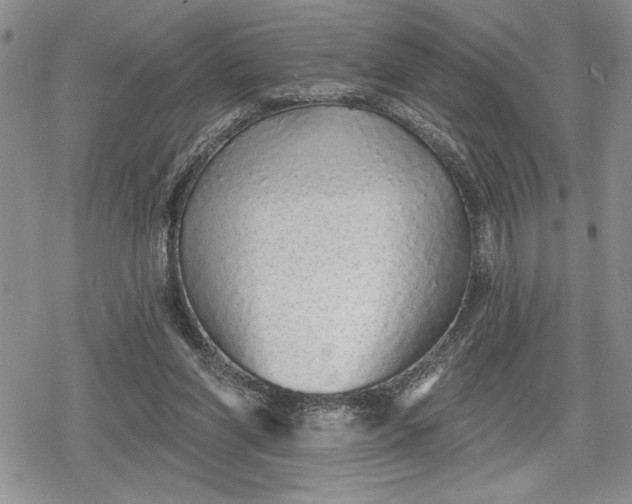 X0000078830206200611271305