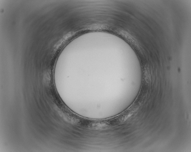 X0000078830208200611271305