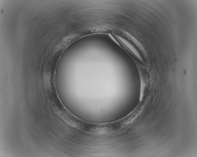 X0000078830209200611271305