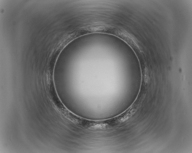 X0000078830210200611271305