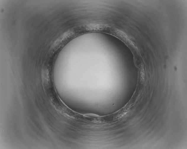 X0000078830211200611271305