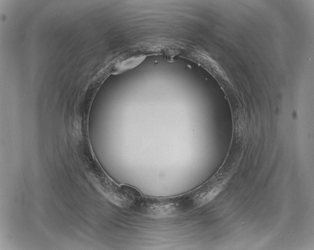 X0000078830213200611271305