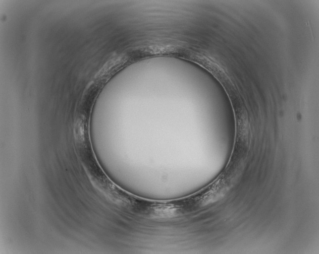 X0000078830214200611271305