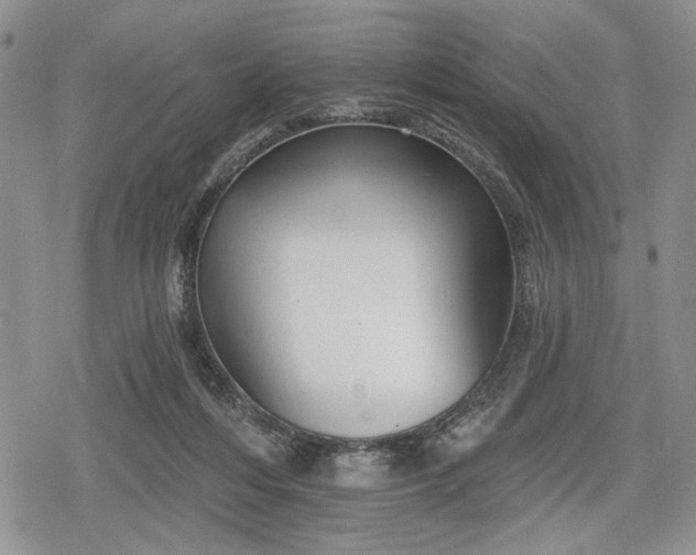 X0000078830216200611271305