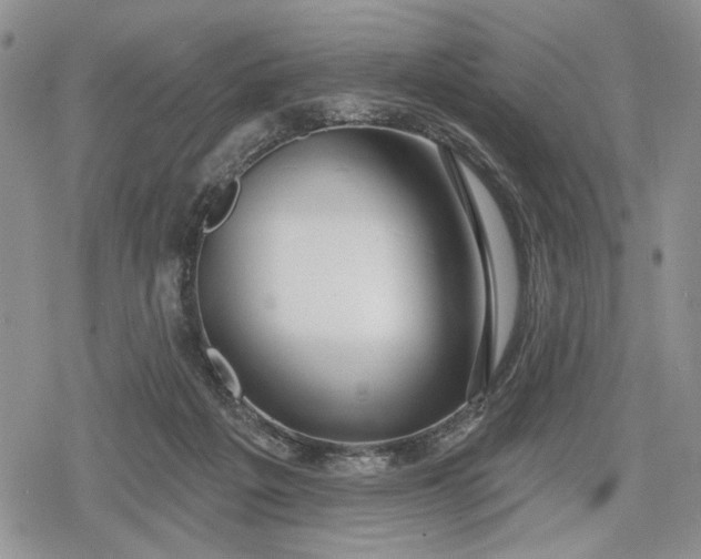 X0000078830217200611271305