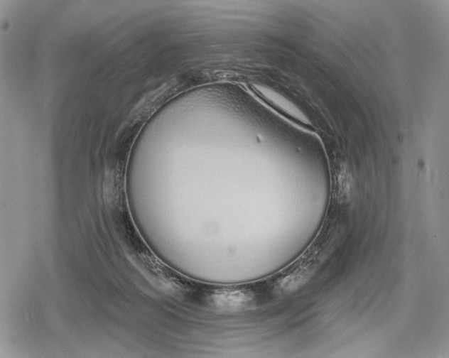 X0000078830218200611271305