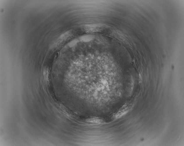 X0000078830219200611271305