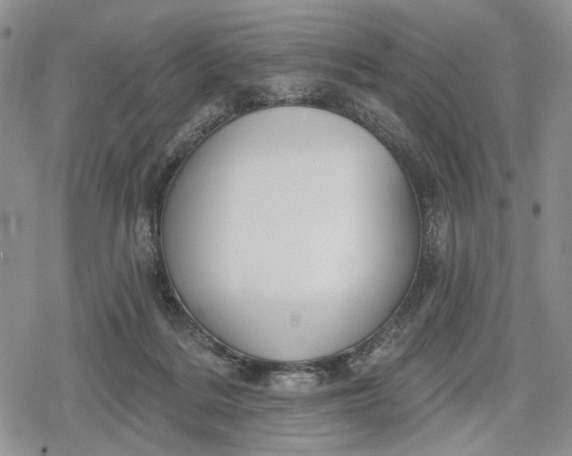 X0000078830220200611271305