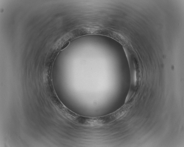 X0000078830221200611271305