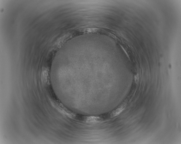 X0000078830222200611271305