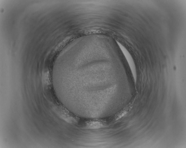 X0000078830224200611271305