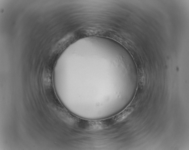 X0000078830226200611271305