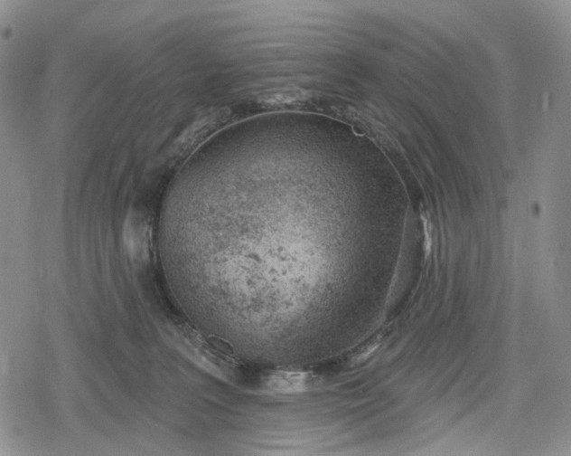 X0000078830227200611271305