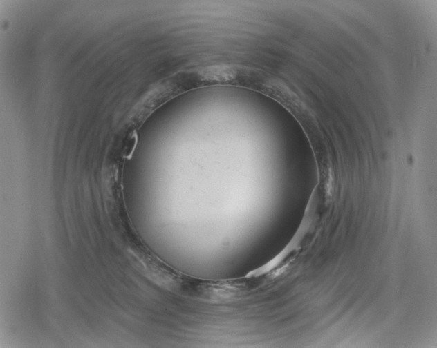 X0000078830229200611271305