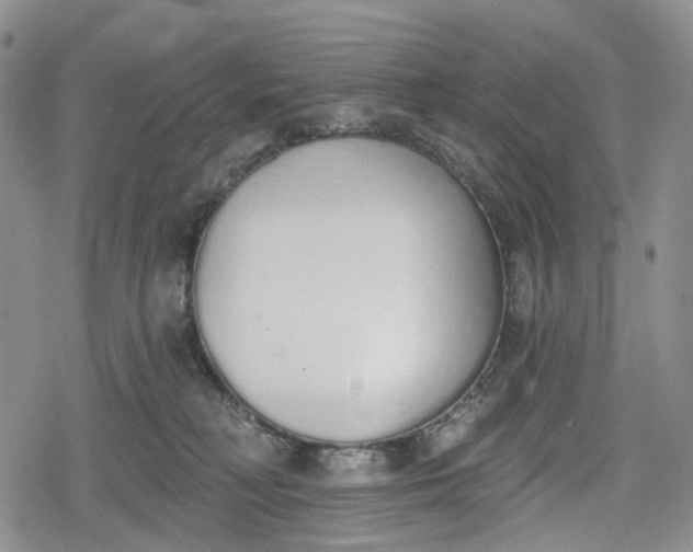 X0000078830230200611271305