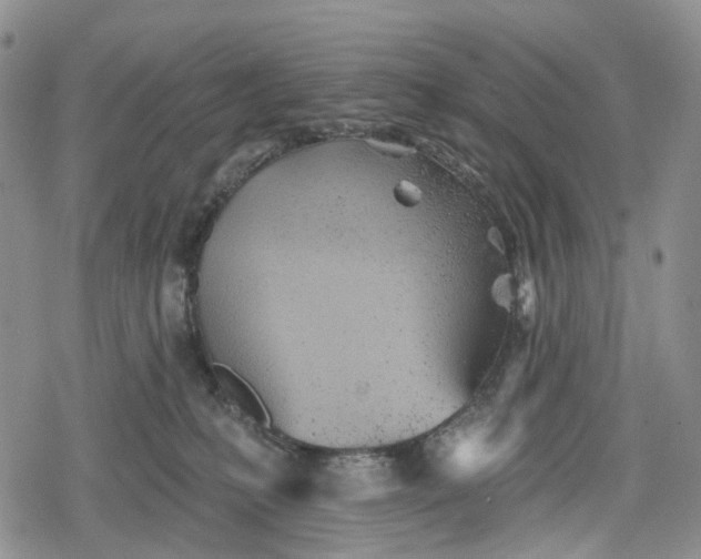 X0000078830231200611271305