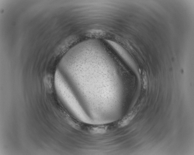 X0000078830232200611271305