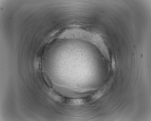 X0000078830233200611271305