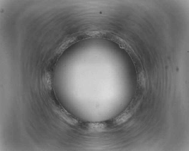 X0000078830234200611271305