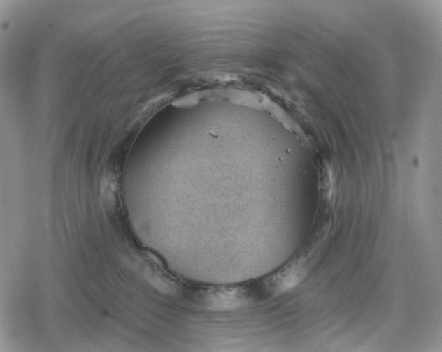 X0000078830235200611271305