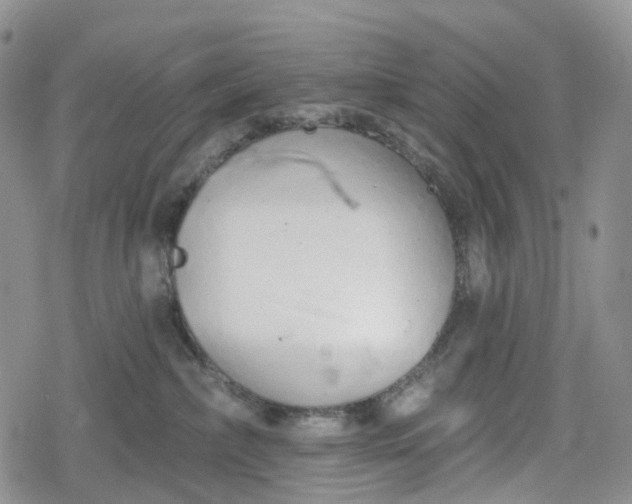 X0000078830236200611271305