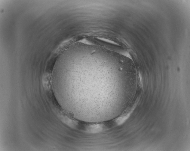 X0000078830237200611271305