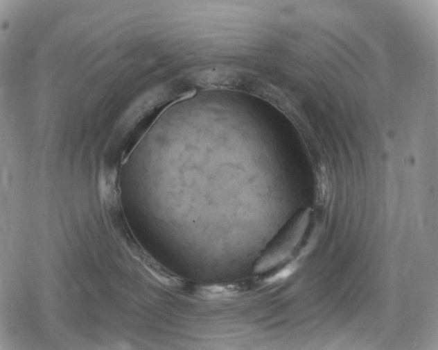 X0000078830239200611271305