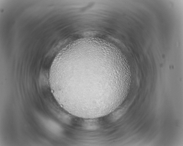 X0000078830240200611271305