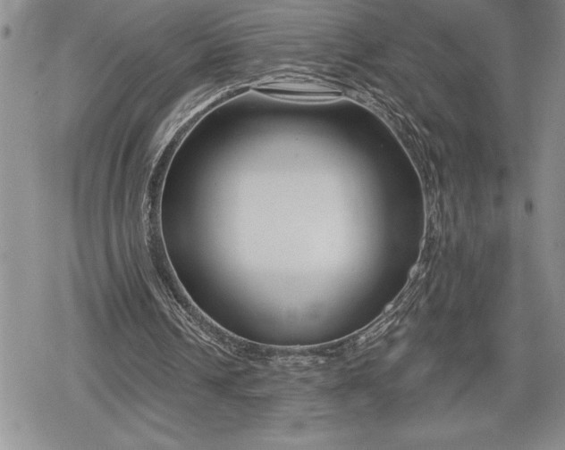 X0000078830242200611271304