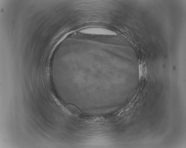 X0000078830243200611271304